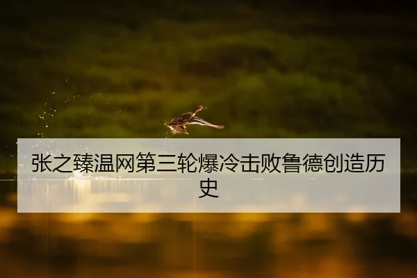 张之臻温网第三轮爆冷击败鲁德创造历史