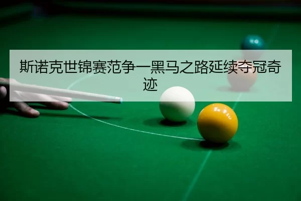 si-nuo-ke-shi-jin-sai-fan-zheng-yi-hei-ma-zhi-lu-yan-xu-duo-guan-qi-ji-3-539.jpg