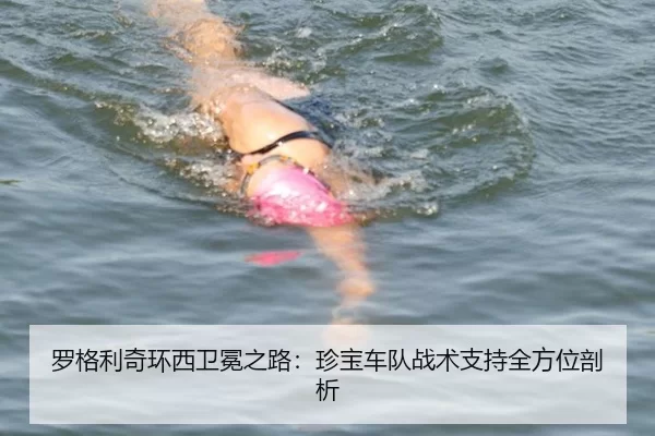 罗格利奇环西卫冕之路：珍宝车队战术支持全方位剖析