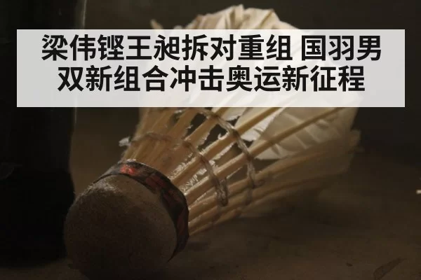 梁伟铿王昶拆对重组 国羽男双新组合冲击奥运新征程