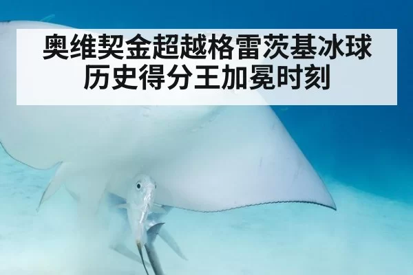 奥维契金超越格雷茨基冰球历史得分王加冕时刻